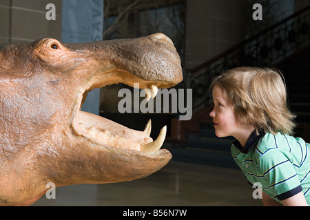 Boy looking at a stuffed rhino Stock Photo