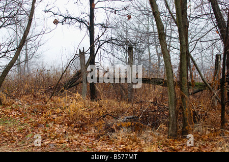 Old farm fence on a gloomy day Stock Photo