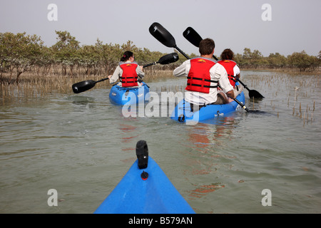 Kajak tour at Sir Bani Yas Island private game reserve in the persian gulf near Abu Dhabi United Arab Emirates Stock Photo