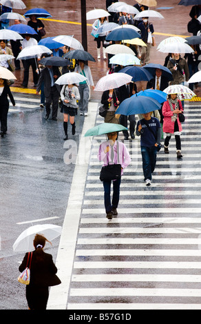 Shibuya Scramble Crossing in Winter Stock Photo - Alamy