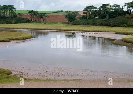 River Otter Estuary, Budleigh Salterton, Devon  UK Stock Photo