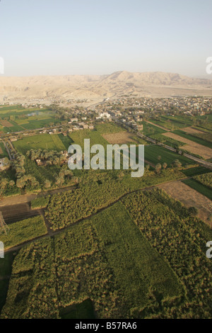 Fields along the Nile, near Luxor, Egypt, North Africa, Africa Stock Photo