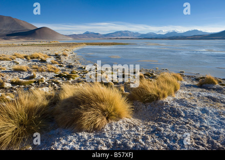The Altiplano Los Flamencos National Reserve Atacama Desert the-altiplano-los-flamencos-national-reserve-atacama-desert