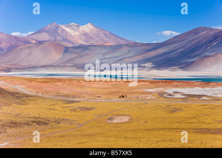 The altiplano, Los Flamencos National Reserve, Atacama Desert, Antofagasta Region, Norte Grande, Chile, South America Stock Photo