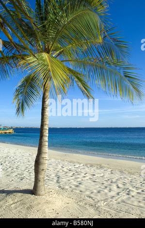 Beach at Harbour Village Resort, Bonaire, Netherlands Antilles, Caribbean, Central America Stock Photo