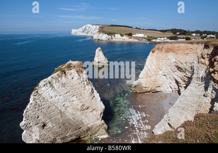 Freshwater Bay and Tennyson Down from Afton Down, Isle of Wight, England, United Kingdom, Europe Stock Photo