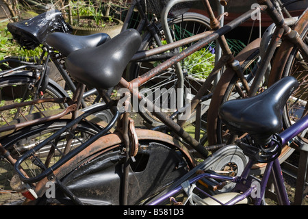 Rusty bicycles, Amsterdam, Netherlands, Europe