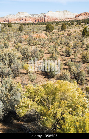 Kodachrome Basin State Park, Utah, United States of America, North America Stock Photo