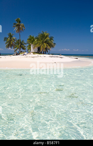 Palm trees on beach, Silk Caye, Belize, Central America Stock Photo
