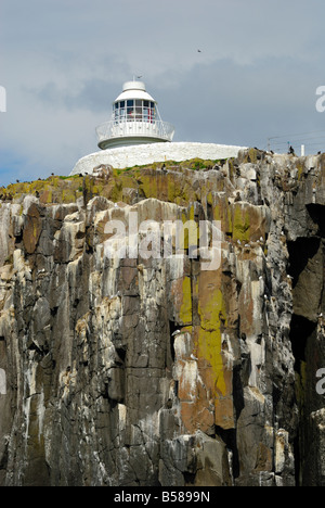 Inner Farne lighthouse, Farne Islands, Northumberland, England Stock Photo