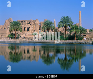 Reflections in the sacred lake of the temple, obelisks and palm trees at Karnak, near Luxor, Thebes, Egypt Stock Photo