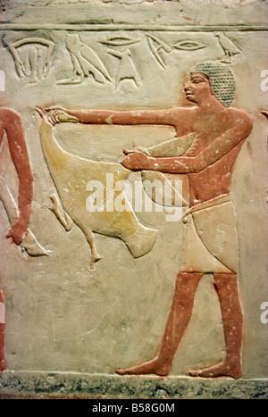 Painted reliefs in mastaba tomb Saqqara Egypt North Africa Africa Stock Photo