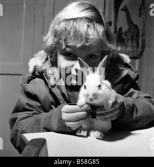 Animal: Cute: Bunny: It was a moment of tender wonderment, when a child can hear the rhythmic beat of a tiny heart. The few weeks old white rabbit at the ChildrensÍ Zoo, Crystal Palace, London is just one of a litter born there, and soon to be heading for new homes. When seven years old John Gankerseer, of Burgess Hill, Sussex was paying the park a visit with his family, he had the chance to use the stethoscope and listen for a while the life beat of little animal. The wonder of another world brought to his ears. December 1976 76-07571-001 Stock Photo