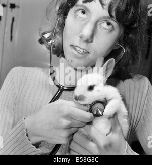 Animal: Cute: Bunny: It was a moment of tender wonderment, when a child can hear the rhythmic beat of a tiny heart. The few weeks old white rabbit at the Childrensê Zoo, Crystal Palace, London is just one of a litter born there, and soon to be heading for new homes. December 1976 76-07571-004 Stock Photo