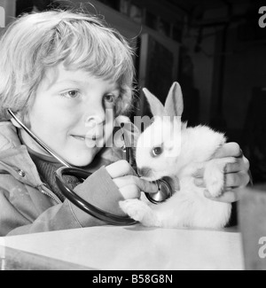 Animal: Cute: Bunny: It was a moment of tender wonderment, when a child can hear the rhythmic beat of a tiny heart. The few weeks old white rabbit at the ChildrensÍ Zoo, Crystal Palace, London is just one of a litter born there, and soon to be heading for new homes. When seven years old John Gankerseer, of Burgess Hill, Sussex was paying the park a visit with his family, he had the chance to use the stethoscope and listen for a while the life beat of little animal. The wonder of another world brought to his ears. December 1976 76-07571-007 Stock Photo
