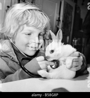 Animal: Cute: Bunny: It was a moment of tender wonderment, when a child can hear the rhythmic beat of a tiny heart. The few weeks old white rabbit at the ChildrensÍ Zoo, Crystal Palace, London is just one of a litter born there, and soon to be heading for new homes. When seven years old John Gankerseer, of Burgess Hill, Sussex was paying the park a visit with his family, he had the chance to use the stethoscope and listen for a while the life beat of little animal. The wonder of another world brought to his ears. December 1976 76-07571 Stock Photo
