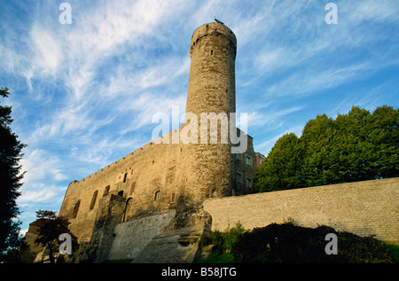 The Pikk Hermann Tower part of the Toompea Castle Tallinn Estonia Baltic States Europe Stock Photo