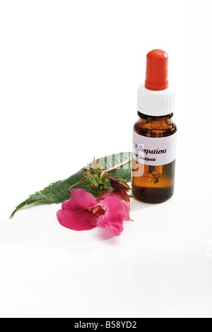 Bottle with Bach Flower Stock Remedy, Impatiens Stock Photo
