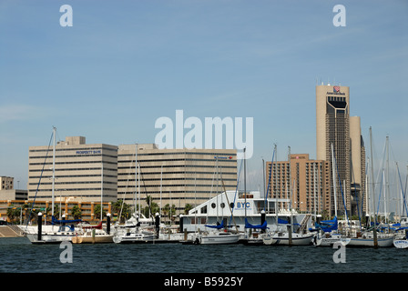 Marina and American Bank Center in Corpus Christi, Texas USA Stock Photo