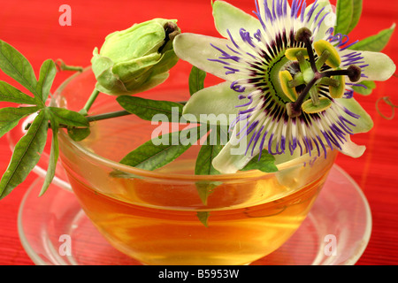 Herbal tea of passiflora Stock Photo - Alamy