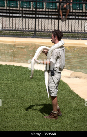Keeper with snakes at show presentation demonstration in Australia Zoo wildlife and wild animal park Queensland QLD Australia Stock Photo