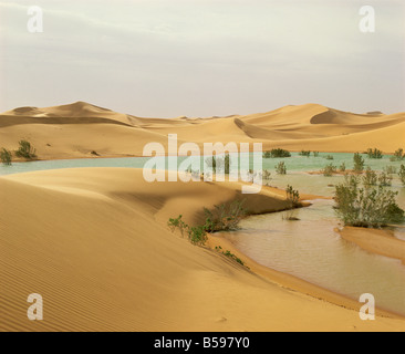 Flood waters in Algerian Sahara at edge of Grand Erg Occidental south of El Golea Algeria North Africa Africa Stock Photo