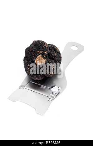 Black truffle on truffle slicer Stock Photo