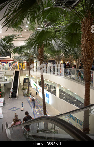 people on escalator stairway palms signs in Brisbane Queensland QLD Australia Stock Photo