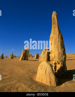 Rock formations known as the Pinnacles in desert of the Nambung National Park, Cervantes, Western Australia, Australia, Pacific Stock Photo