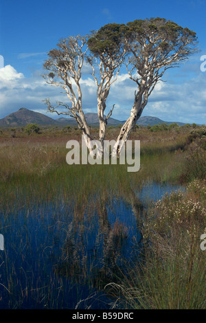 Cape Le Grand National Park with Frenchman s Peak in distance Western Australia Australia Pacific Stock Photo