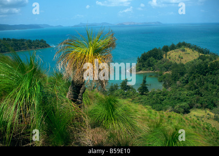 View over Oyster Bay South Molle Island Whitsundays Queensland Australia Pacific Stock Photo