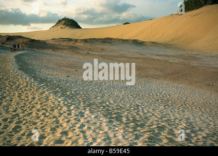 Great Sandy National Park Fraser Island UNESCO World Heritage Site Queensland Australia Pacific Stock Photo