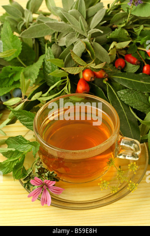 Medicinal herbs infusion. Sage rose hips common mallow and lemon balm Stock Photo