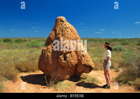 Termite mound, Shark Bay, Western Australia, Australia, Pacific Stock Photo