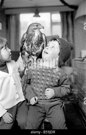 Animal/pet/unusual. Children with Buzzard.  December 1970 71-00012-003 Stock Photo