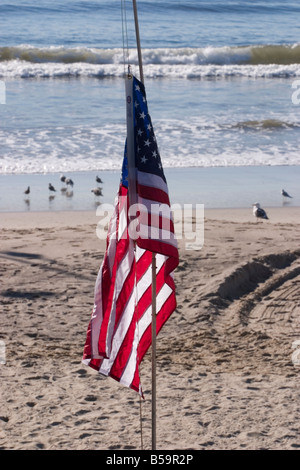 A single US flag on Santa Monica beach, part of a weekend art display of crosses marking each fallen American soldier in Iraq Stock Photo