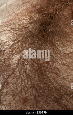 Woman's unshaven pubic hair Stock Photo - Alamy