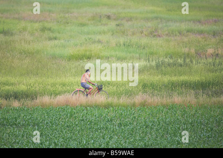 Man on bike using mobile phone Hungary PE000017 Stock Photo