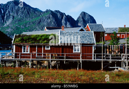 Old fishing cottage with sod roofs in Lofoten, Norway Stock Photo