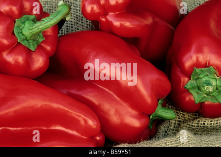Mature Red Bell Peppers arranged on burlap. Stock Photo