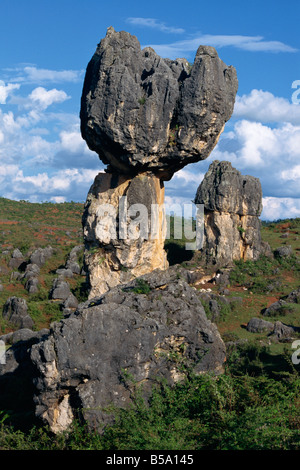 Limestone pinnacles in Shilin Stone Forest in Lunan Yunnan Province China Asia Stock Photo