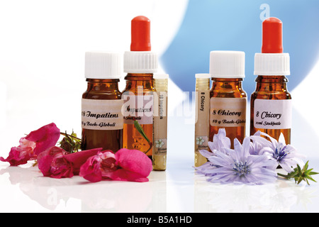 Bottles with Bach Flower Stock Remedy, Impatiens and Chicory (Cichorium intybus) Stock Photo