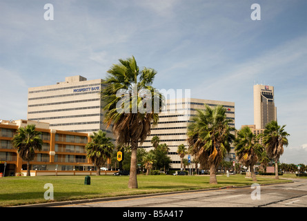 Downtown in Corpus Christi, Southern Texas USA Stock Photo