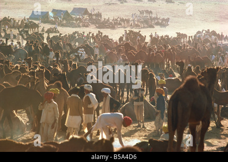 Camel Fair Pushkar Rajasthan state India Asia Stock Photo