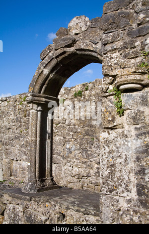 Hore Abbey, Cashel Town, County Tipperary, Munster, Republic of Ireland, Europe Stock Photo