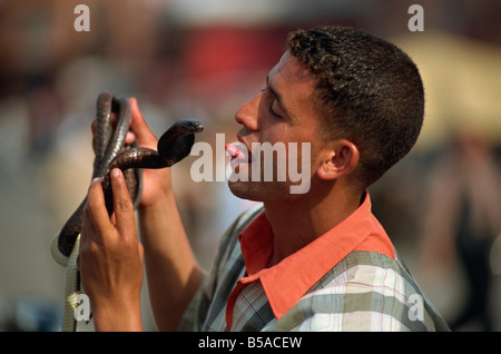 Snake charmer Djemaa el Fna Marrakesh Morocco North Africa Africa Stock Photo