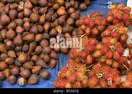 Salak and rambutan, the snakeskin and hairy tropical fruits in the market, Haranggaol, Lake Toba, Sumatra, Indonesia, Asia Stock Photo
