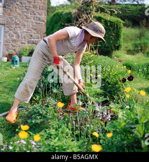Mature woman digging a rural garden herbaceous border in spring in Carmarthenshire Wales UK   KATHY DEWITT