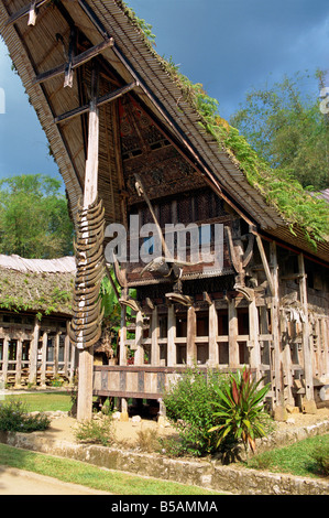 Toraja house, Toraja area, Sulawesi, Indonesia, Southeast Asia Stock Photo