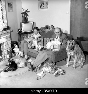 John Holmes seen here with his wife and surrounded by all his pets, which includes dogs, cats, a fox and a tawny owl. Jan. 1965 Stock Photo